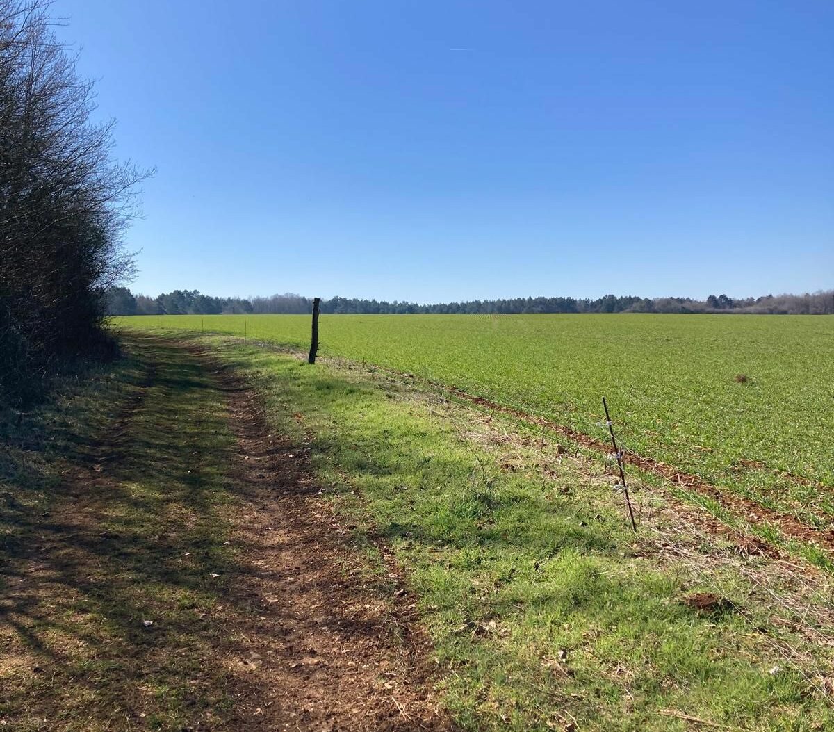 Infinity Trail Nancy